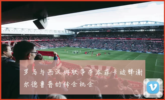 罗马与西汉姆联争夺本菲卡边锋谢尔德鲁普的转会机会